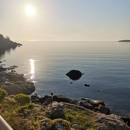 Vesela Maison d'hôtes Sozopol